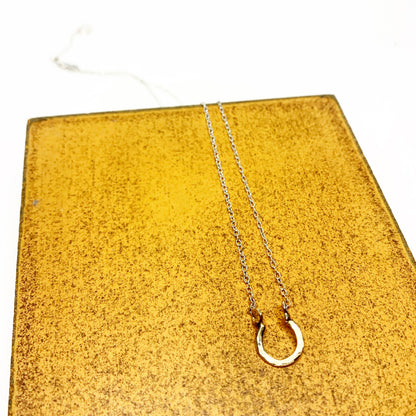 Mini Lucky Horseshoe Charm Necklace